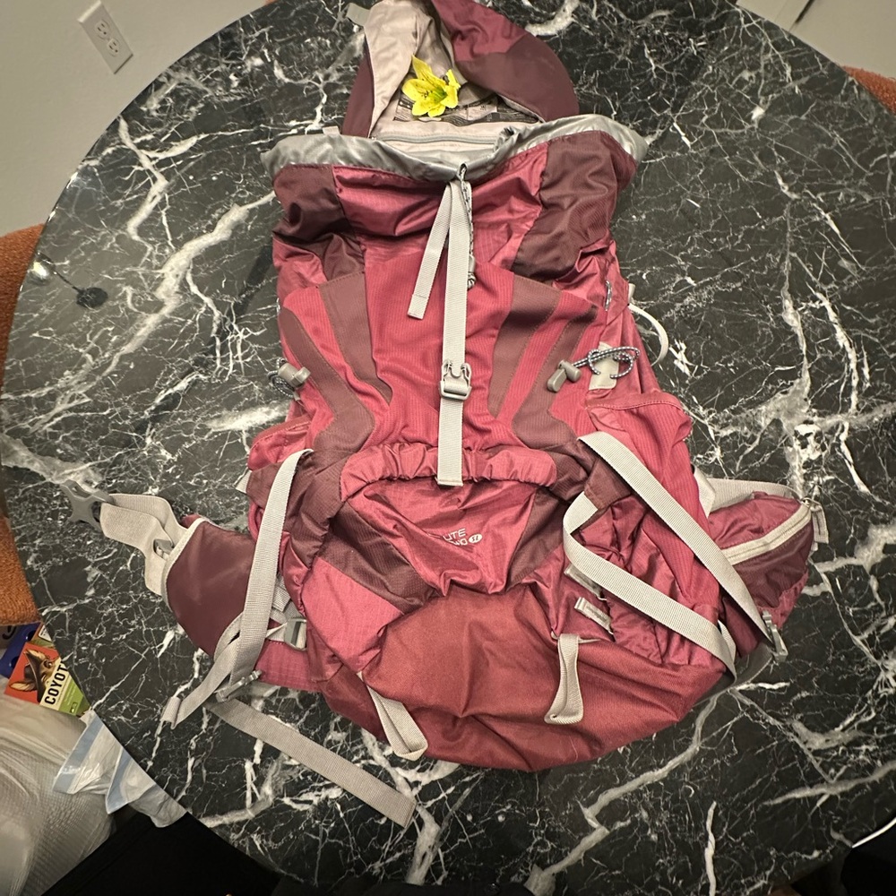 Women's Travel Backpack in Burgundy